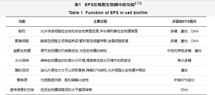 污水處理設備__全康環(huán)保QKEP