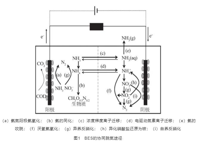 污水處理設備__全康環(huán)保QKEP