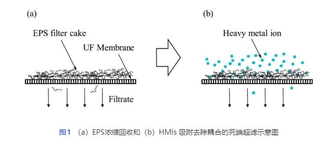 污水處理設(shè)備__全康環(huán)保QKEP