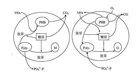 污水處理設備__全康環(huán)保QKEP