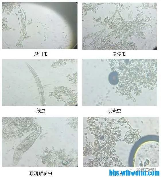 污水處理設備__全康環(huán)保QKEP