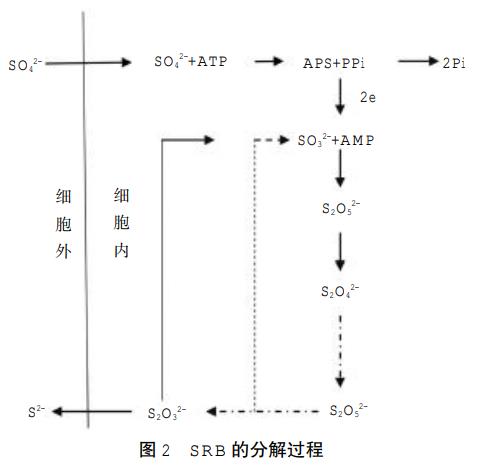 污水處理設(shè)備__全康環(huán)保QKEP