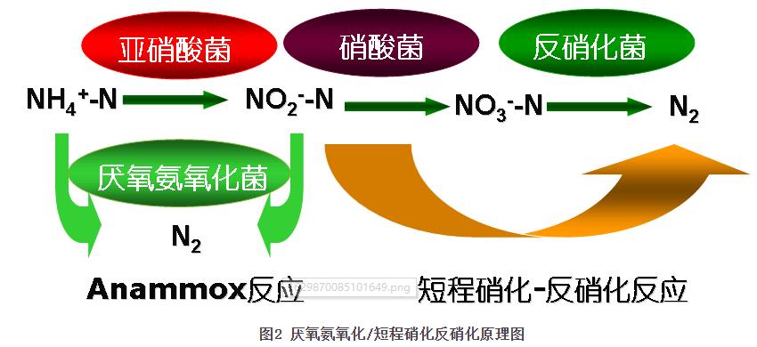 污水處理設(shè)備__全康環(huán)保QKEP